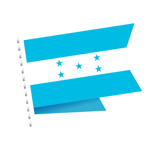 flag_sv